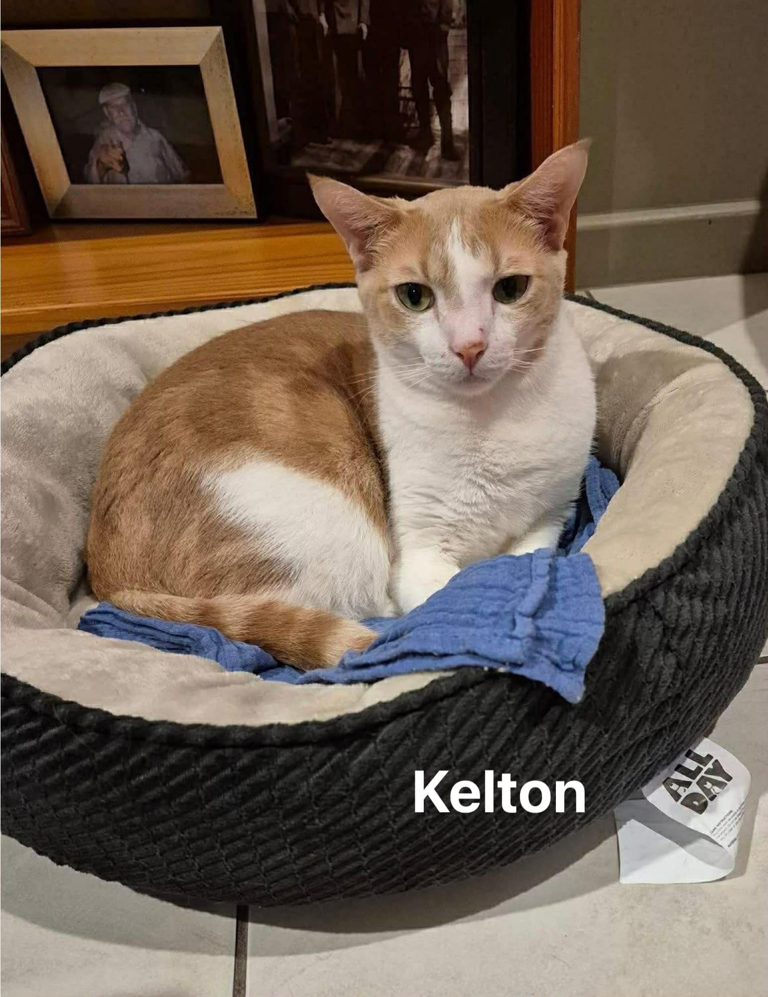 Kelton Kelton